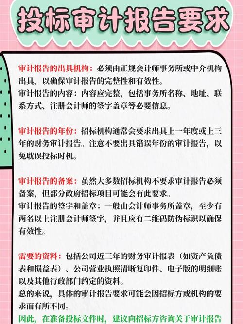 投标用审计报告的要求说明